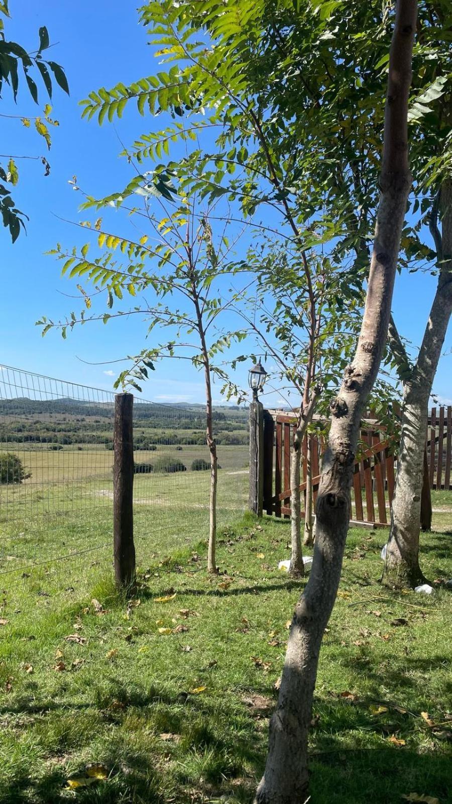 La Chacra Guest House Minas Bagian luar foto