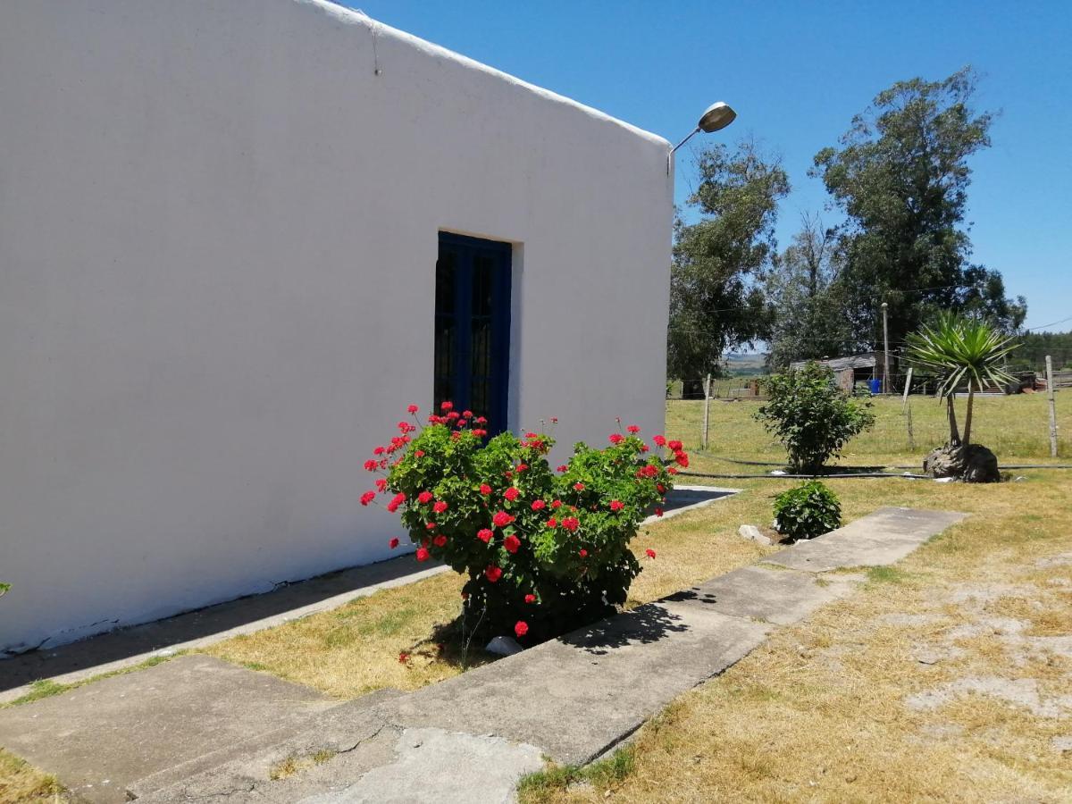 La Chacra Guest House Minas Bagian luar foto